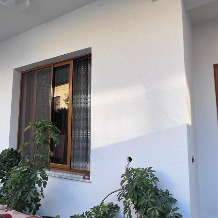David Guesthouse Shkodër Eksteriør bilde